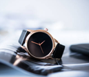 Lorem Ipsum text